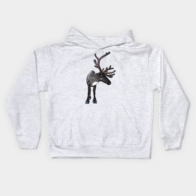 Santa Claus Reindeer Kids Hoodie by FotoJarmo